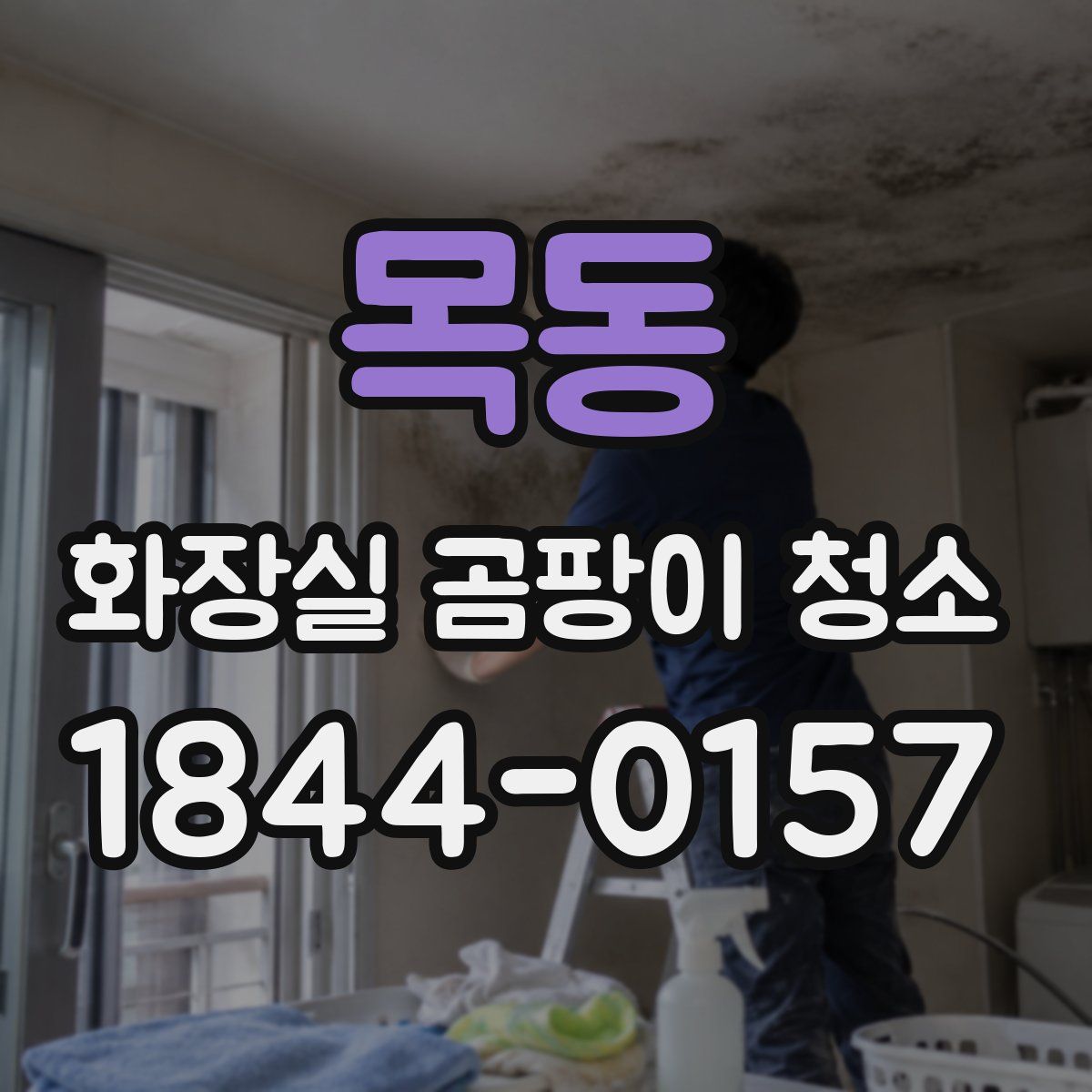 목동 화장실 곰팡이 청소