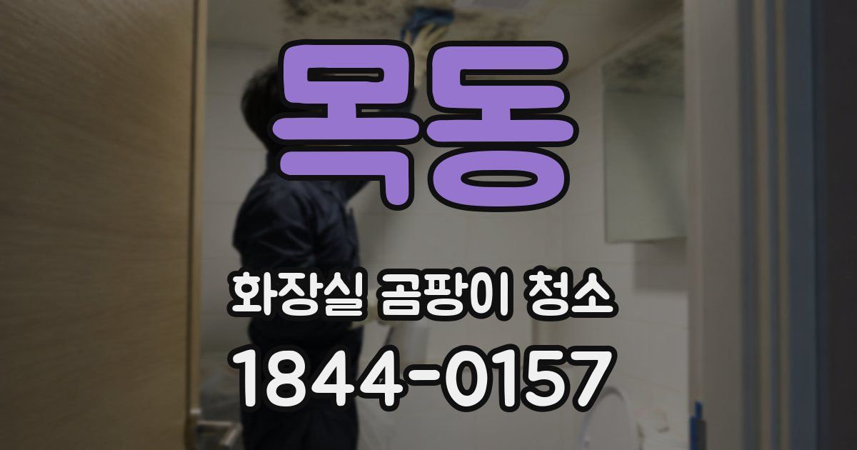 목동 화장실 곰팡이 청소