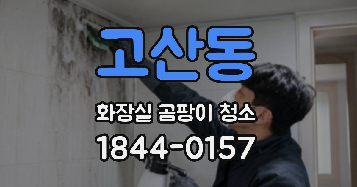 고산동 화장실 곰팡이 청소