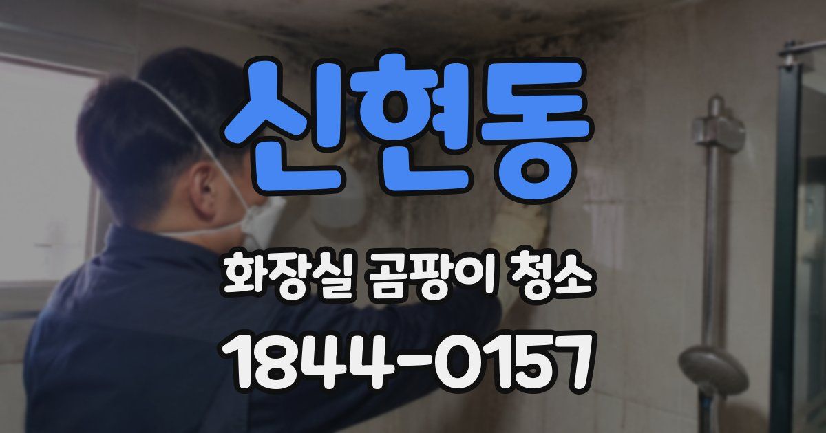 신현동 화장실 곰팡이 청소