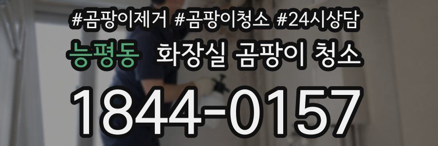 능평동 화장실 곰팡이 청소