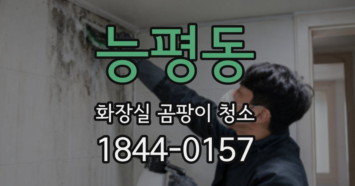 능평동 화장실 곰팡이 청소