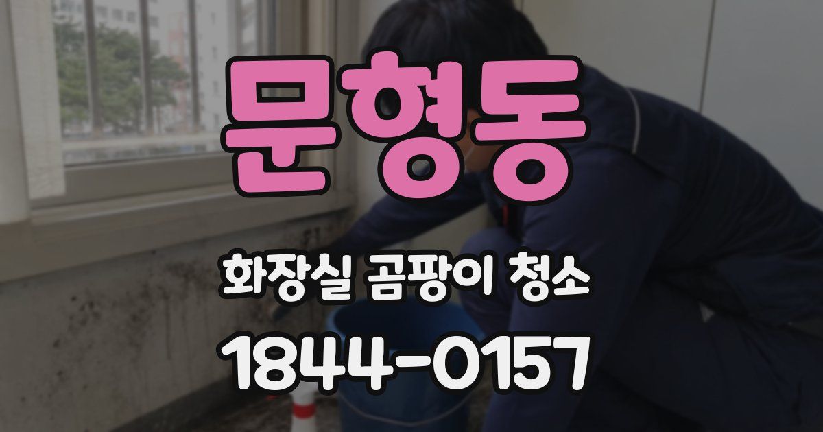 문형동 화장실 곰팡이 청소