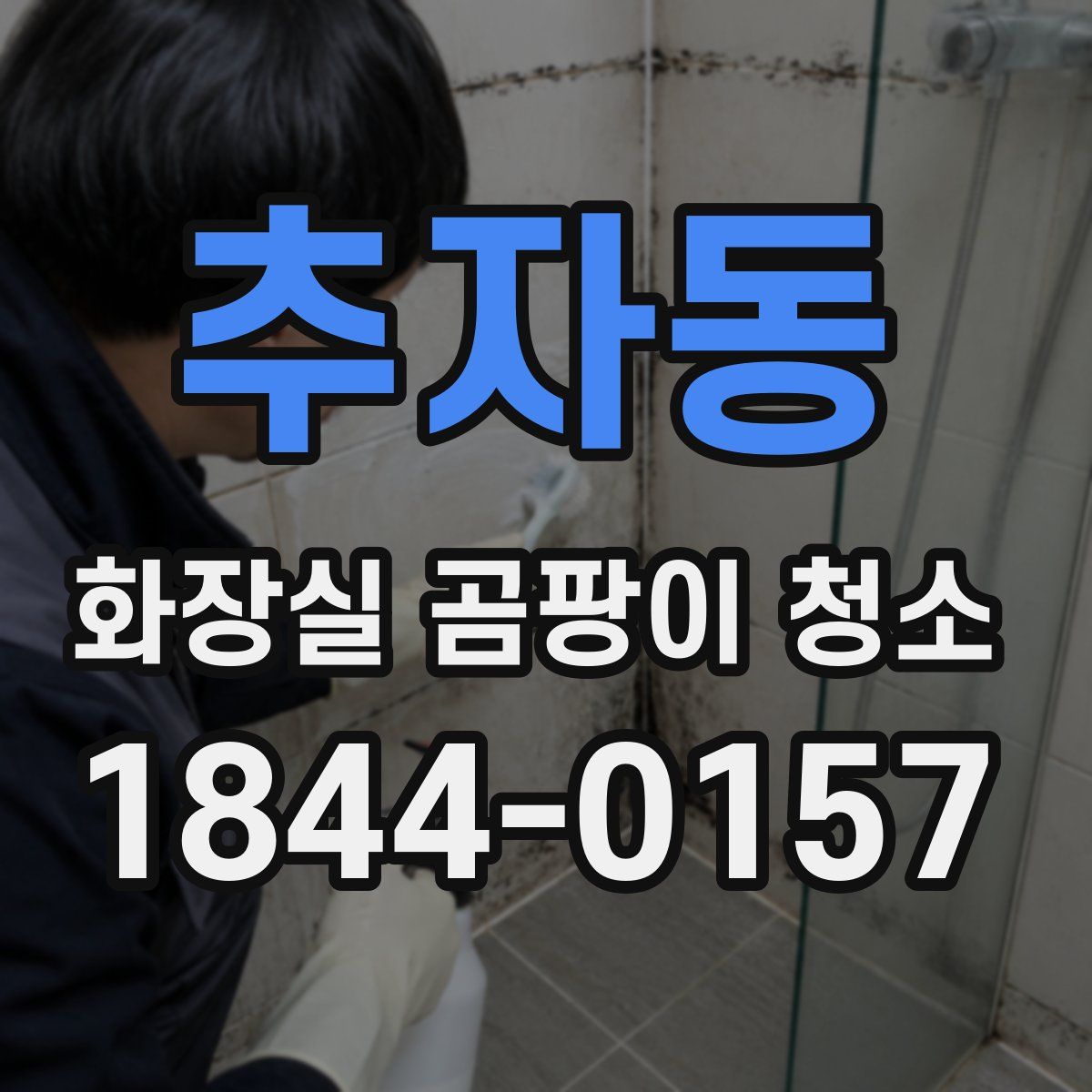 추자동 화장실 곰팡이 청소