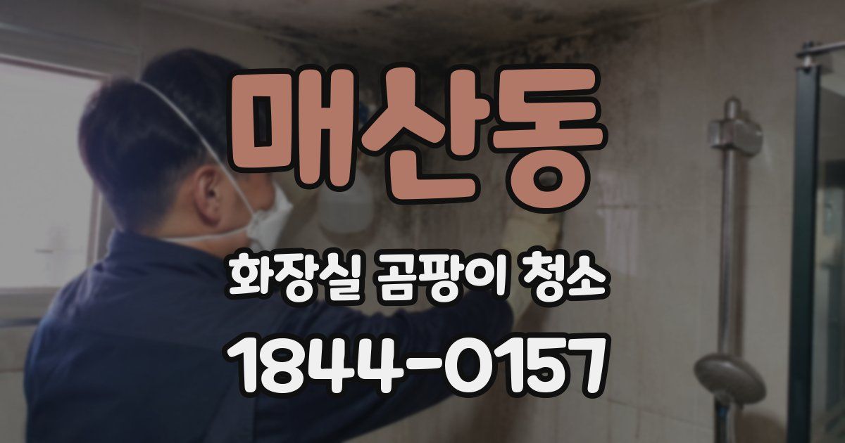 매산동 화장실 곰팡이 청소