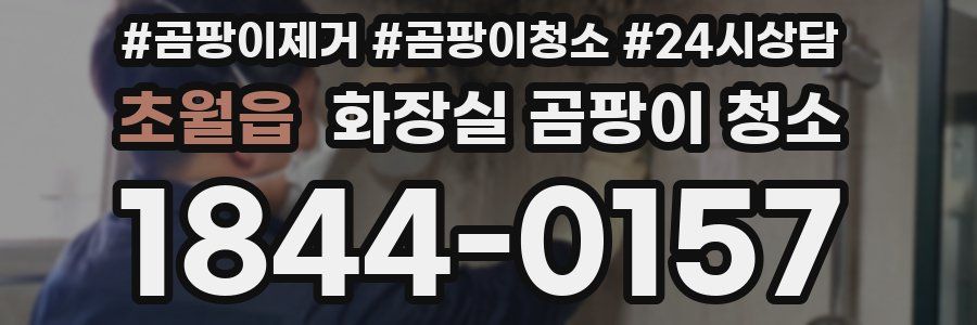 초월읍 화장실 곰팡이 청소