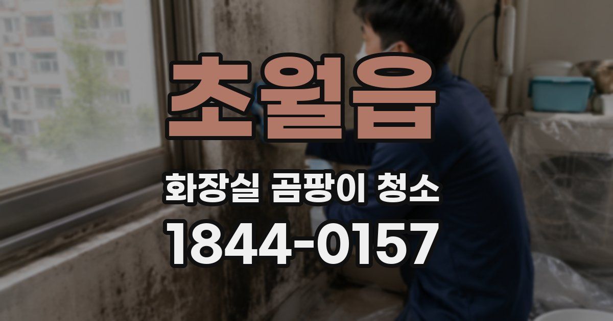 초월읍 화장실 곰팡이 청소