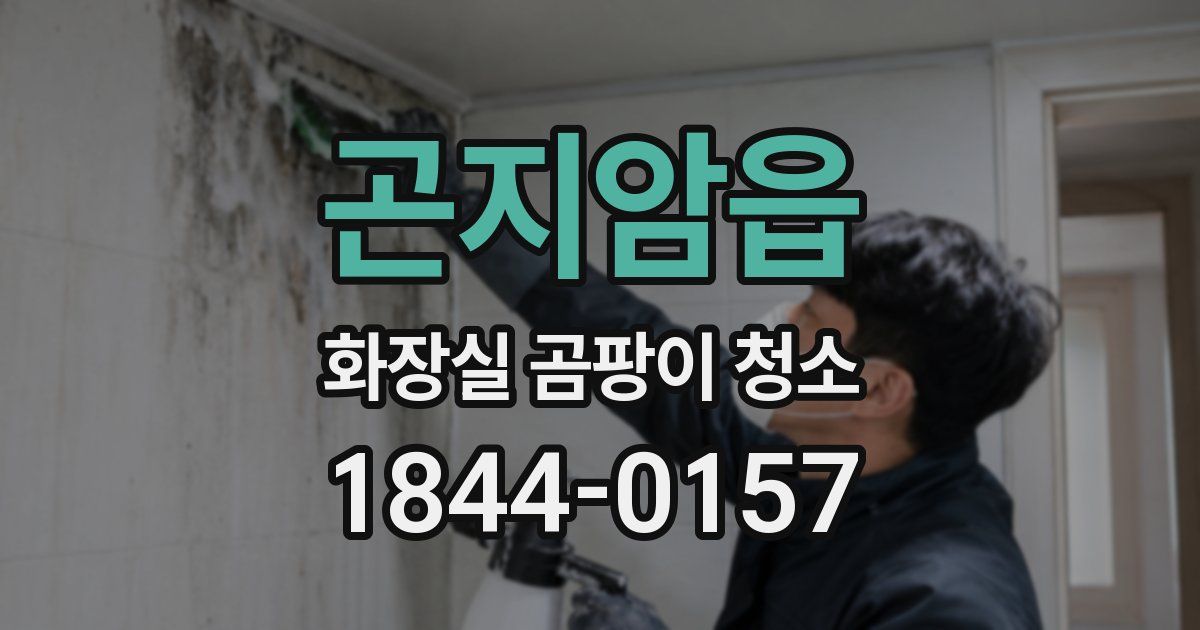곤지암읍 화장실 곰팡이 청소