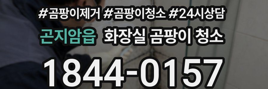 곤지암읍 화장실 곰팡이 청소