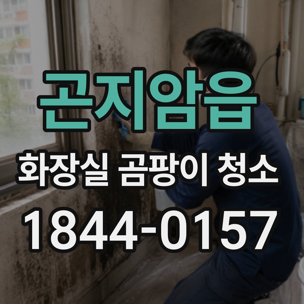 곤지암읍 화장실 곰팡이 청소