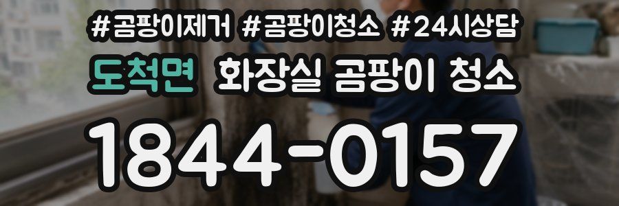 도척면 화장실 곰팡이 청소