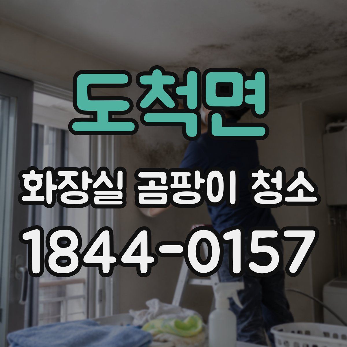 도척면 화장실 곰팡이 청소