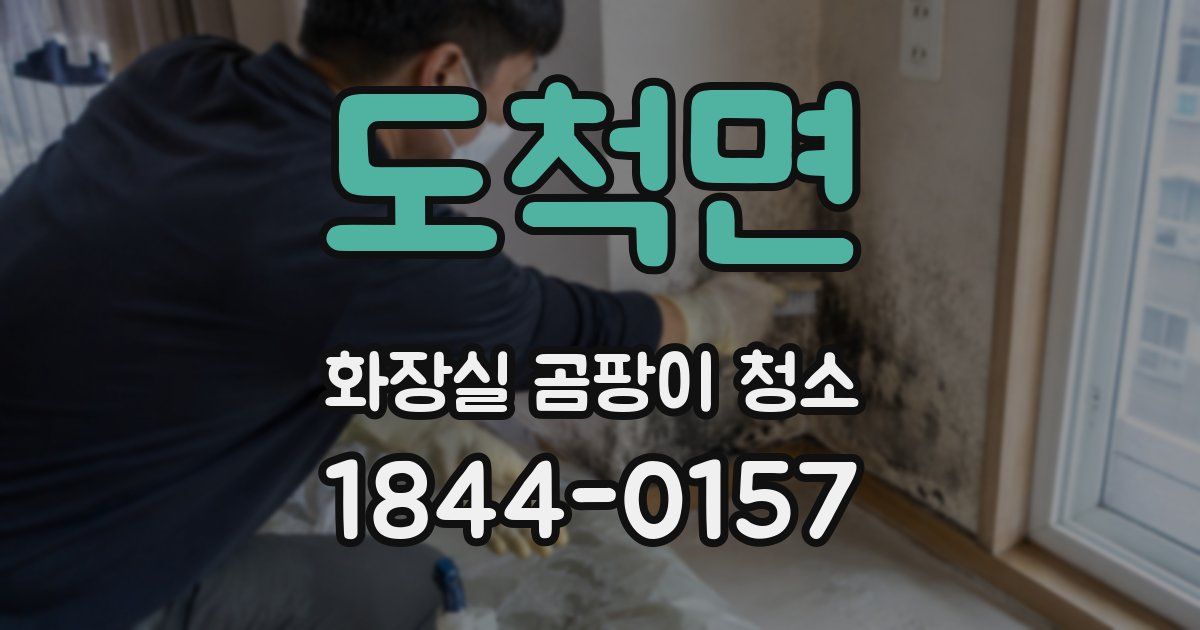 도척면 화장실 곰팡이 청소