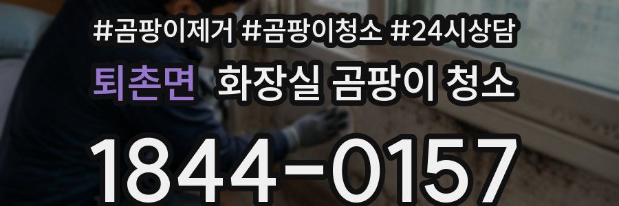 퇴촌면 화장실 곰팡이 청소