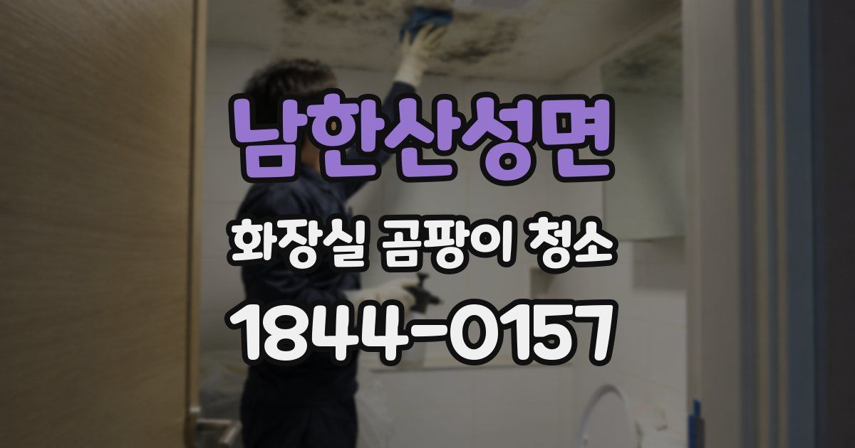 남한산성면 화장실 곰팡이 청소