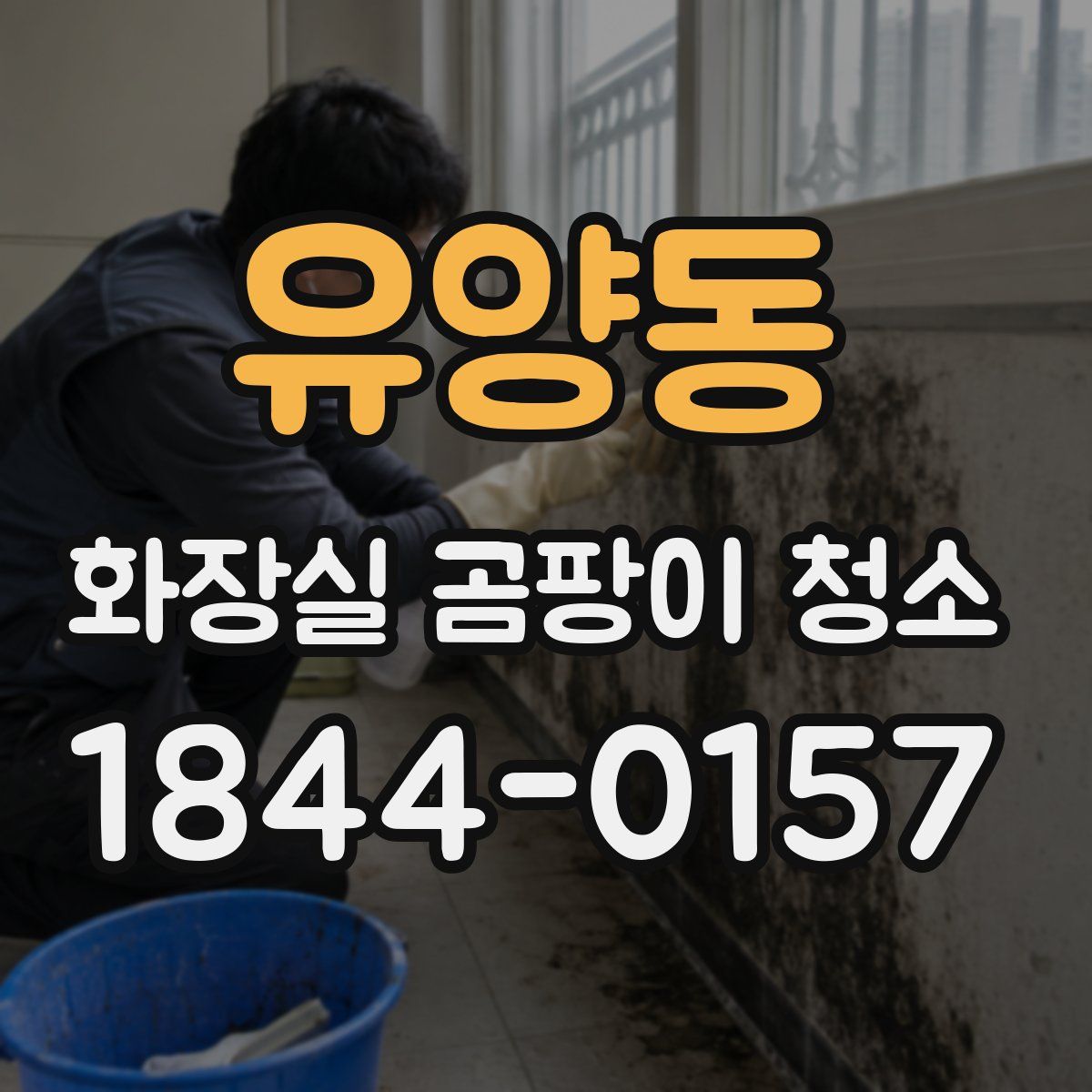 유양동 화장실 곰팡이 청소