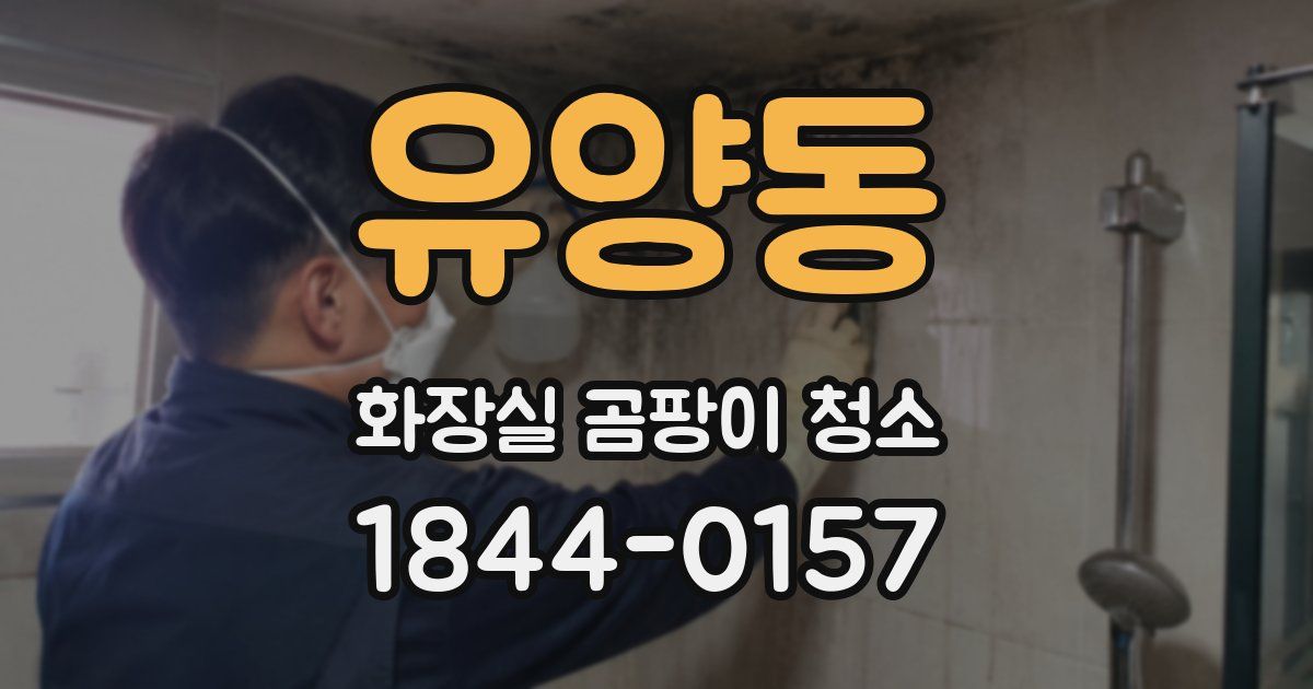 유양동 화장실 곰팡이 청소