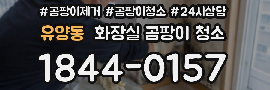 유양동 화장실 곰팡이 청소