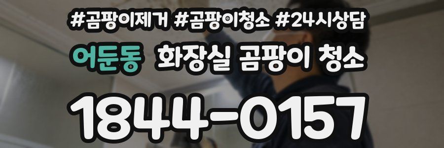 어둔동 화장실 곰팡이 청소