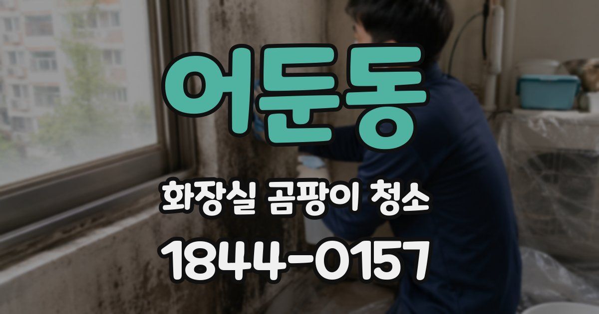 어둔동 화장실 곰팡이 청소