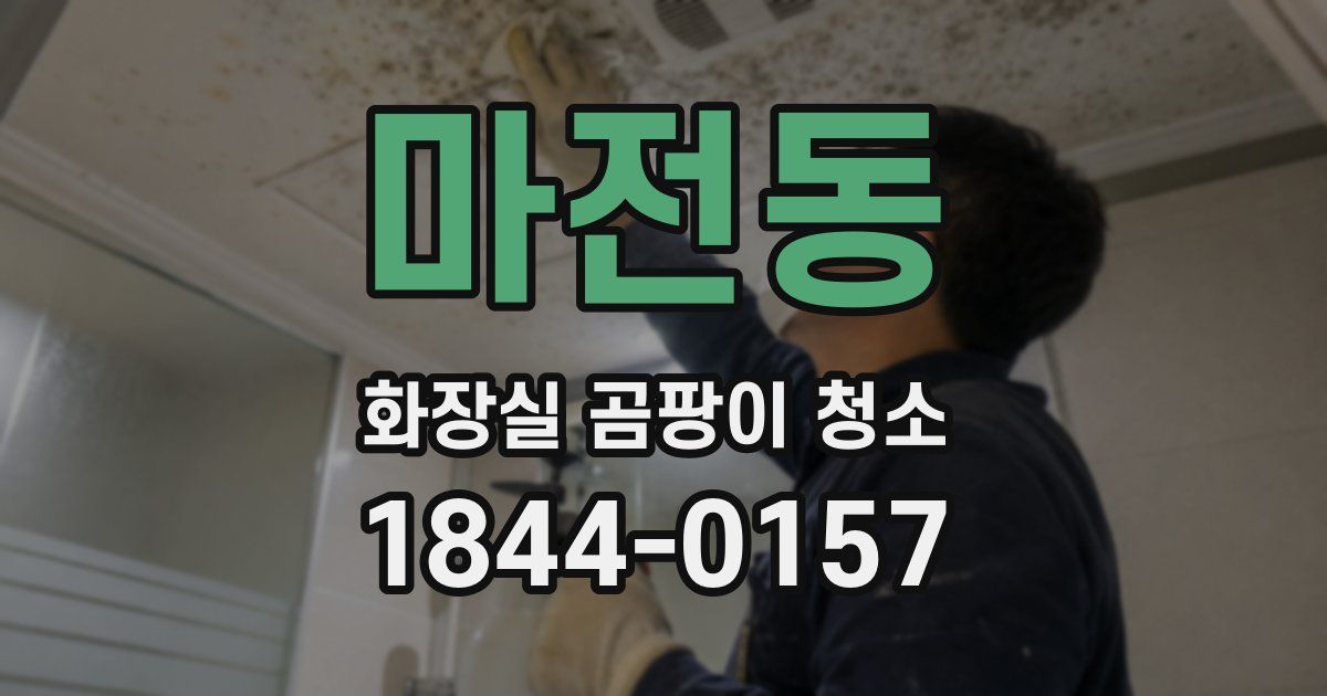 마전동 화장실 곰팡이 청소