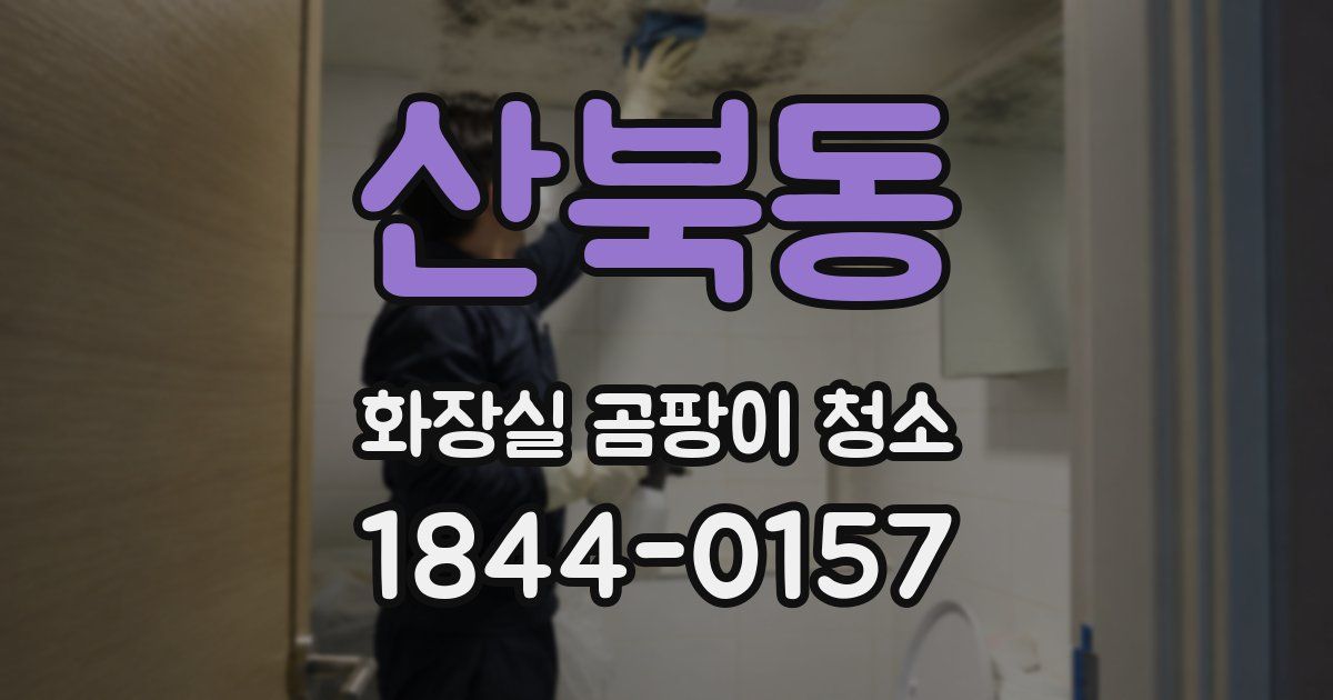 산북동 화장실 곰팡이 청소