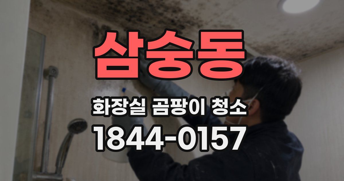 삼숭동 화장실 곰팡이 청소