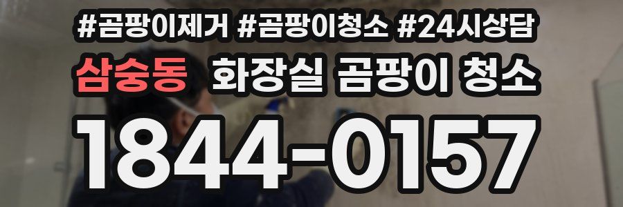삼숭동 화장실 곰팡이 청소