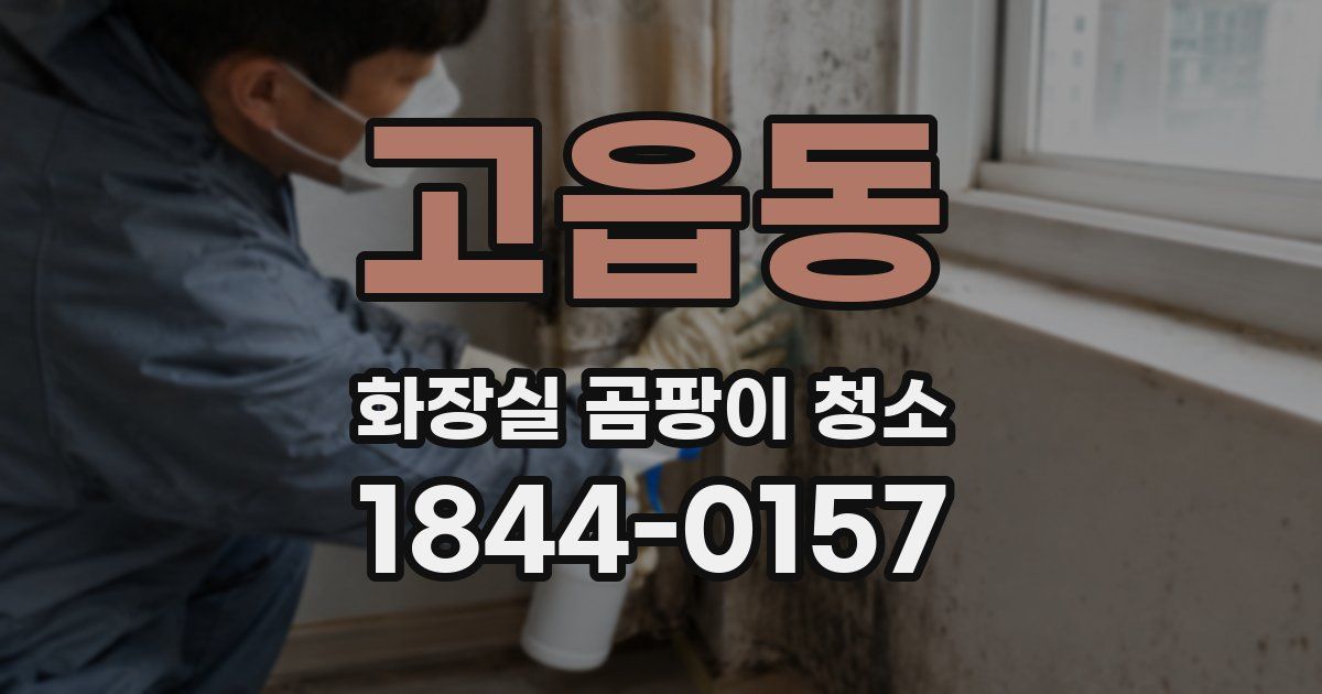 고읍동 화장실 곰팡이 청소
