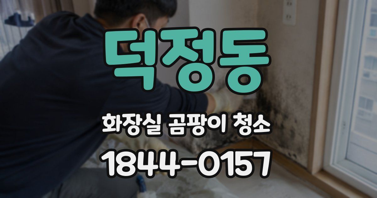 덕정동 화장실 곰팡이 청소