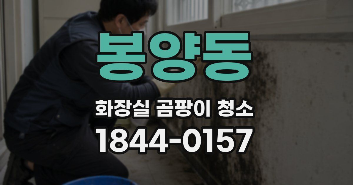 봉양동 화장실 곰팡이 청소