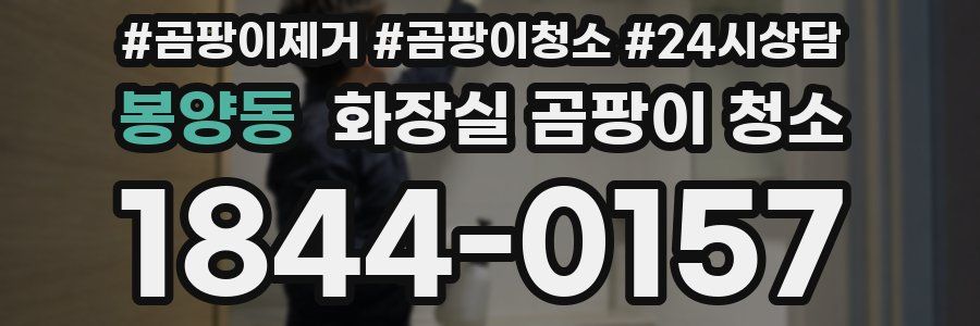 봉양동 화장실 곰팡이 청소