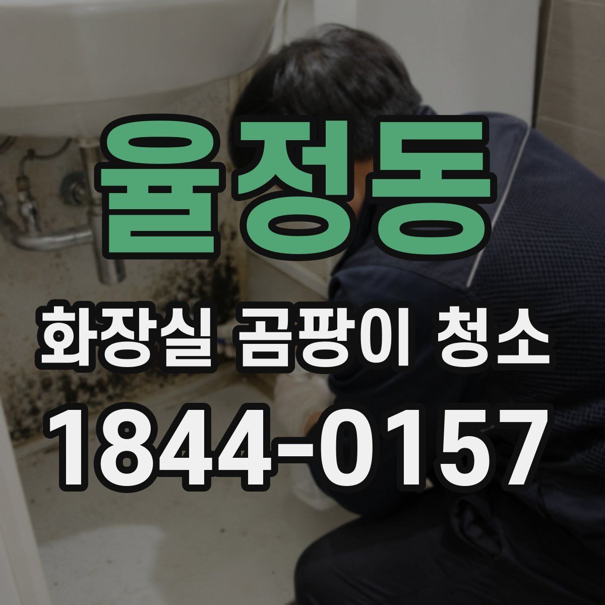 율정동 화장실 곰팡이 청소