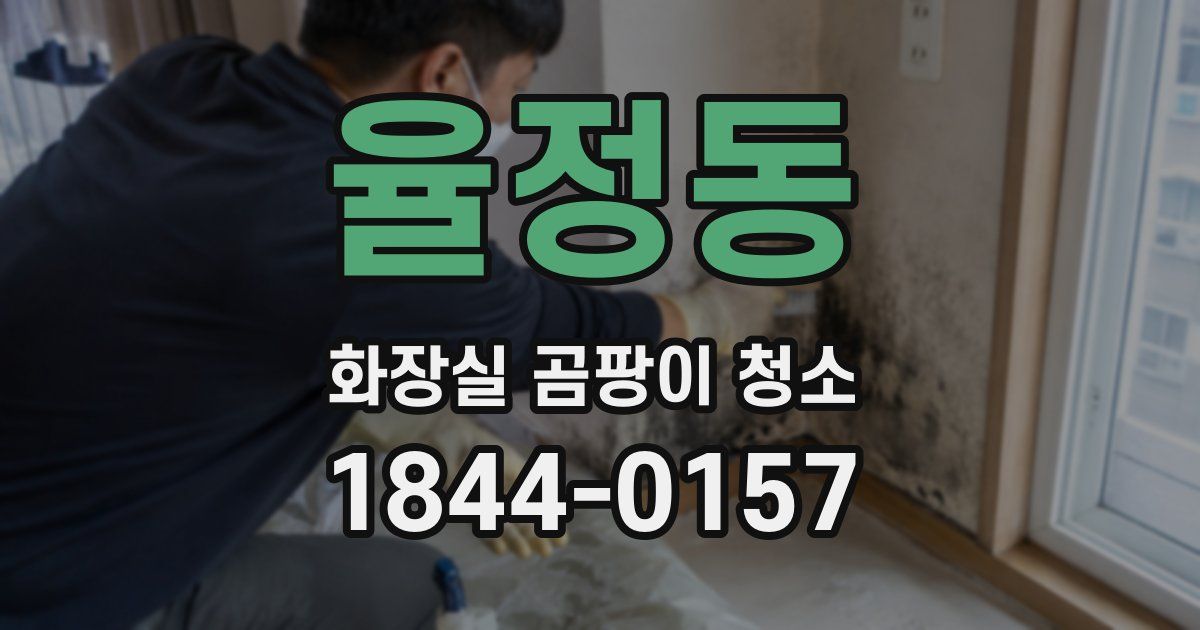율정동 화장실 곰팡이 청소