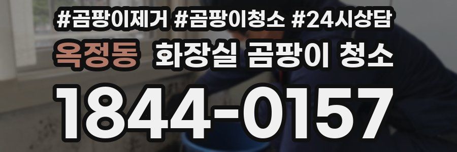 옥정동 화장실 곰팡이 청소
