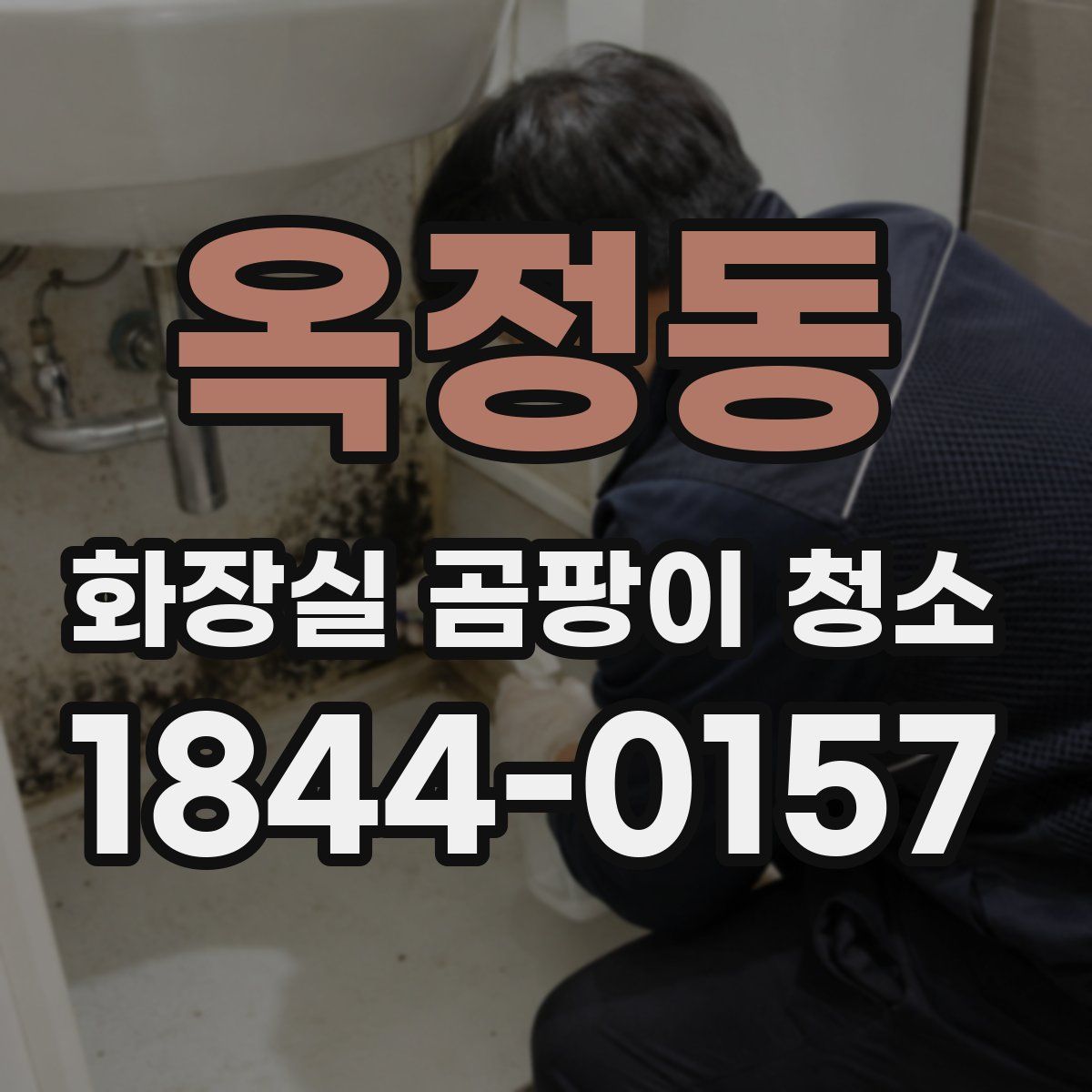 옥정동 화장실 곰팡이 청소