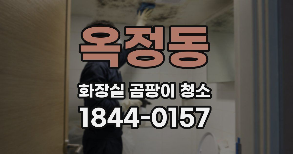 옥정동 화장실 곰팡이 청소