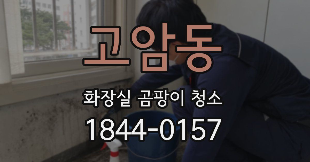 고암동 화장실 곰팡이 청소