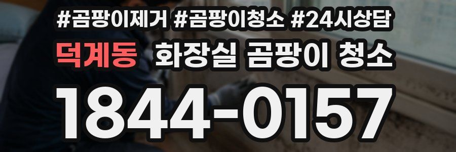 덕계동 화장실 곰팡이 청소