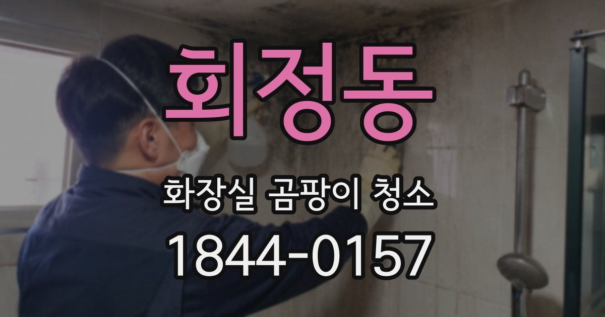회정동 화장실 곰팡이 청소