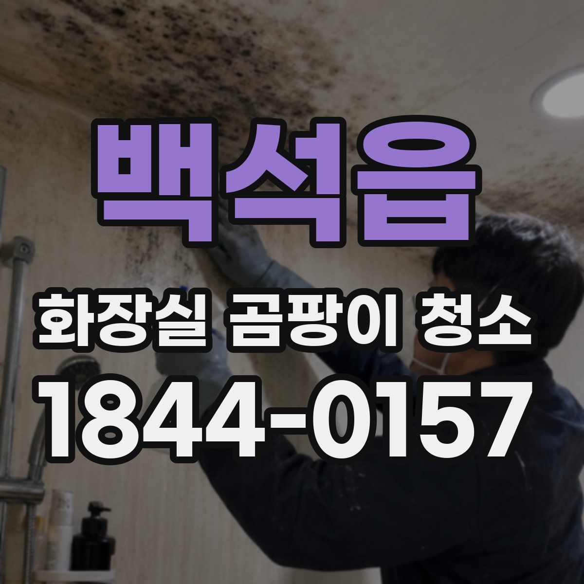 백석읍 화장실 곰팡이 청소