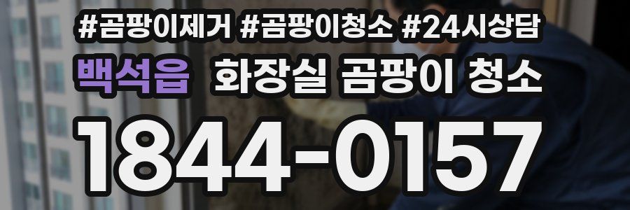 백석읍 화장실 곰팡이 청소