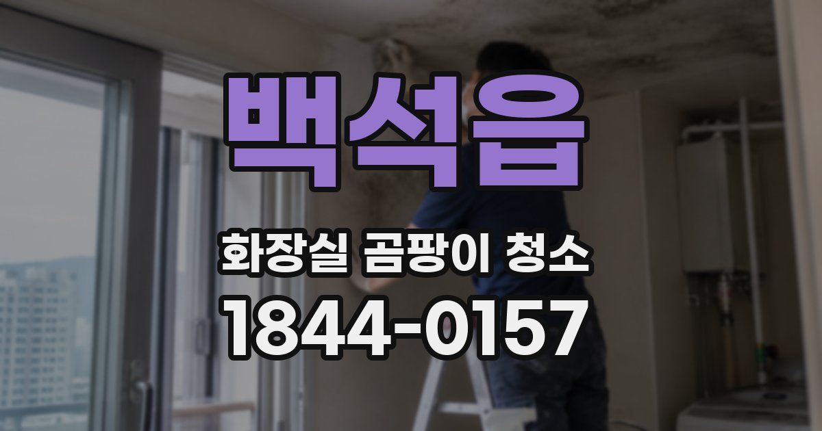 백석읍 화장실 곰팡이 청소