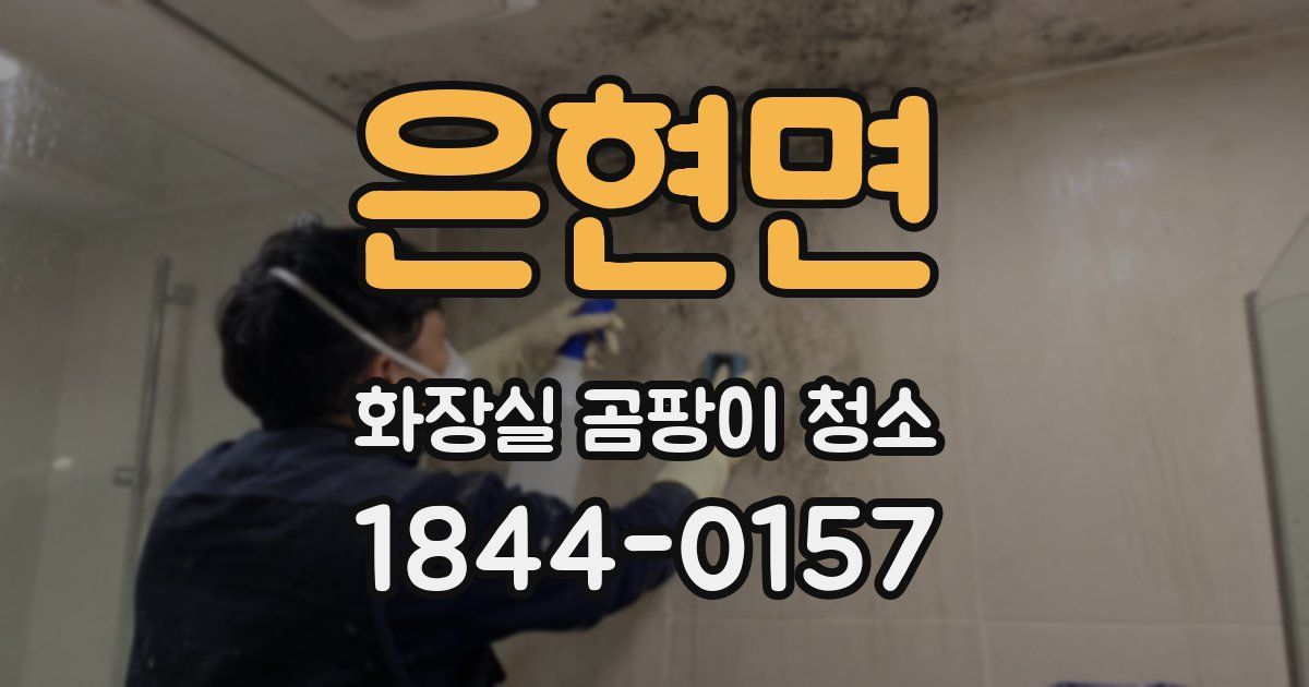 은현면 화장실 곰팡이 청소