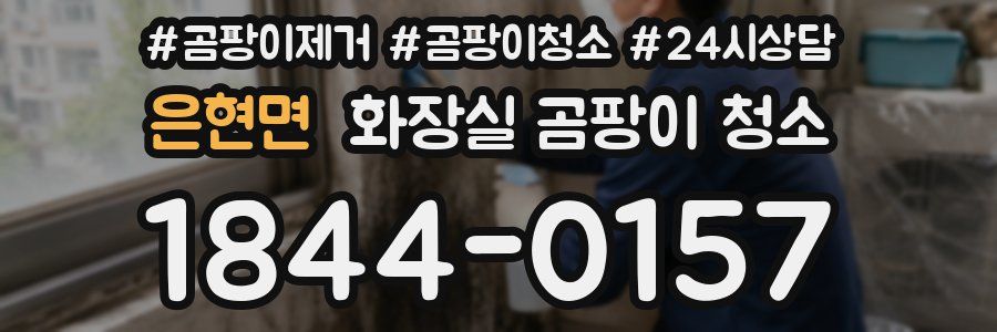 은현면 화장실 곰팡이 청소