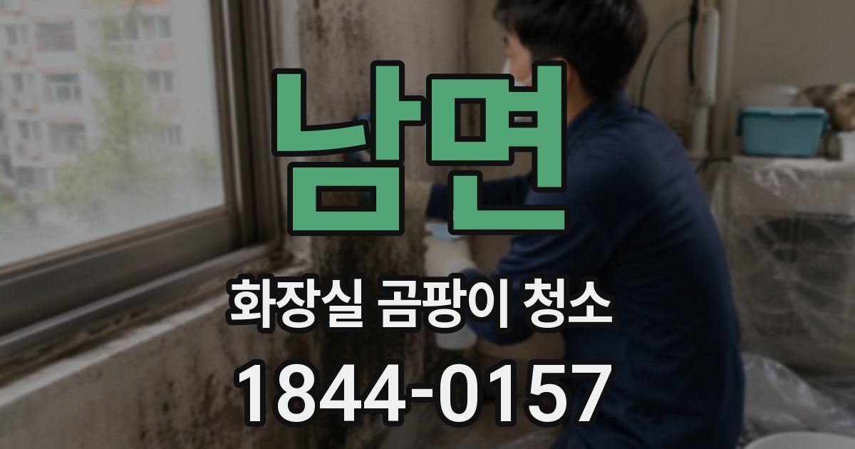 남면 화장실 곰팡이 청소