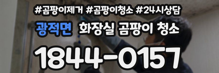광적면 화장실 곰팡이 청소