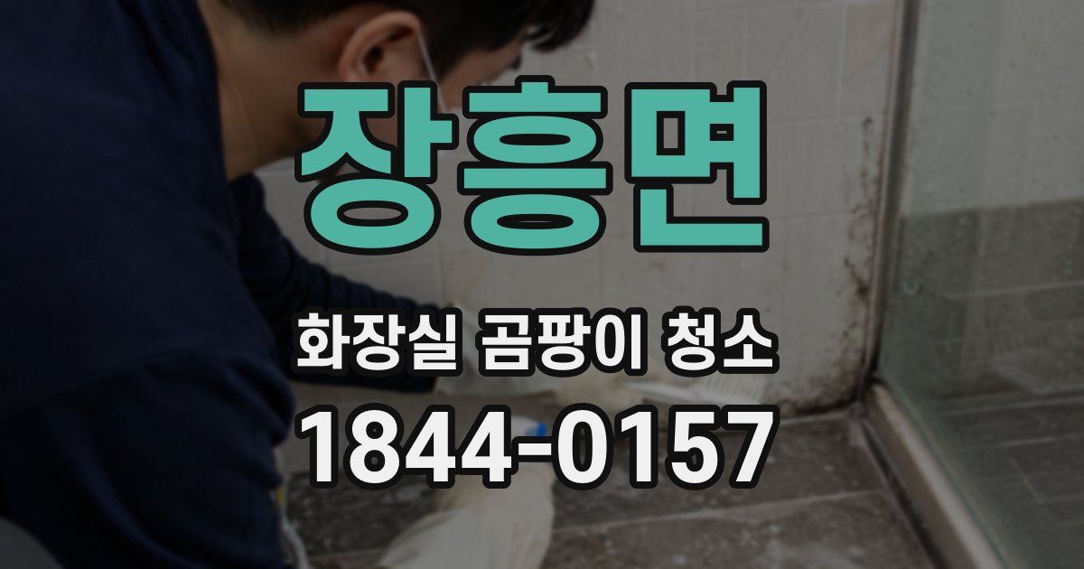 장흥면 화장실 곰팡이 청소