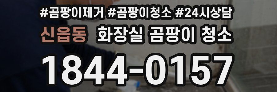 신읍동 화장실 곰팡이 청소