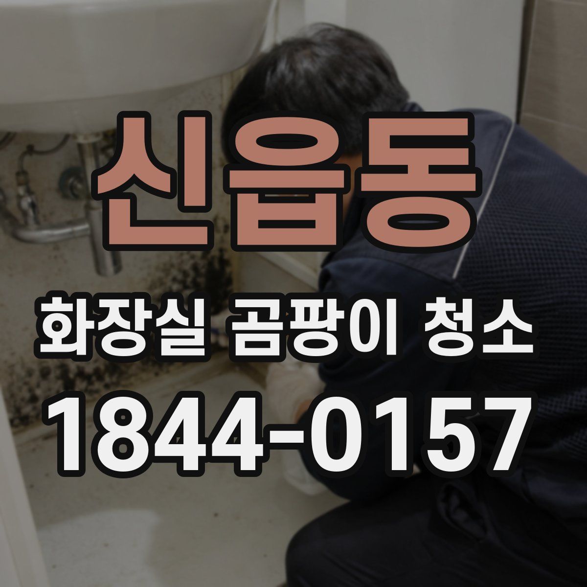 신읍동 화장실 곰팡이 청소